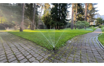 Курортный район п.Солнечное, 2025г.