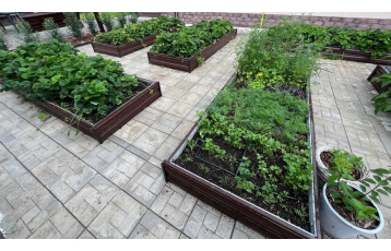 Ломоносовский район д.Владимировка, 2025г.