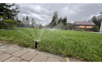 Выборгский район п.Заполье, 2025г.