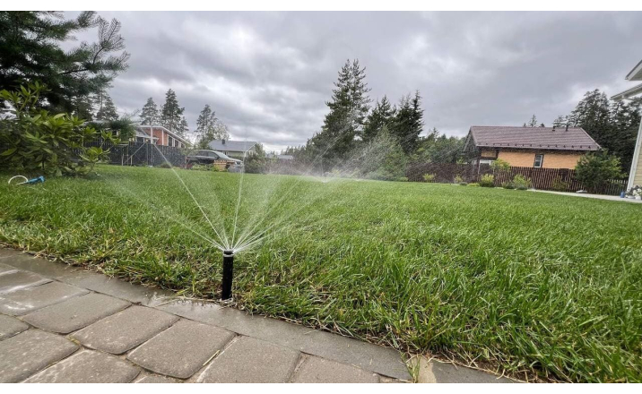 Выборгский район п.Заполье, 2025г.